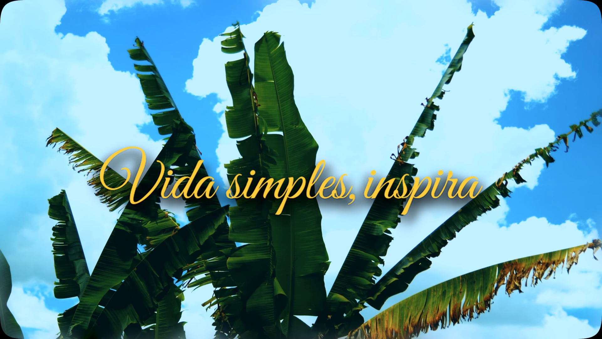 VIDA SIMPLES,
INSPIRA